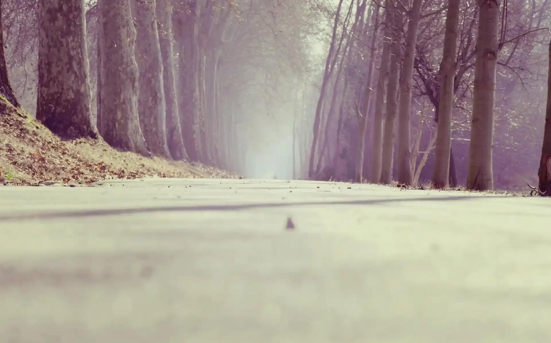 Path